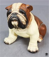 Bulldog Coin Bank - Japan