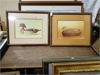 2 WILLIAM PLANTE DUCK PRINTS 22x18