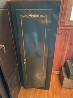 Sentinel Gun Safe