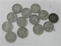 13 Buffalo Head Nickels