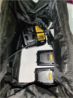 Dewalt Bag with Charger and 20V batteries