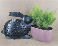 Bunny & Planter - LIVE plants