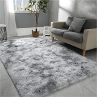 *READ DESC* Hutha 4x6 Large Area Rugs for Living
