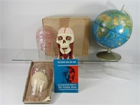 WORLD GLOBE & RENWAL HUMAN HEAD & NECK: