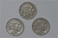 3 - Buffalo Nickels (23,23,23)