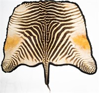 Taxidermy Authentic Zebra Pelt / Hide