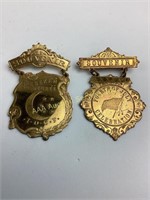 (2) Victorian era souvenir pins medals.  Odd