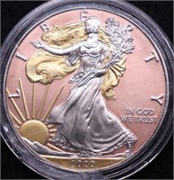 COLORIZED SILVER EAGLE