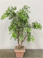 4.5 FT Artificial Plant in Terracotta Container