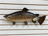 22" Brown Trout Full Body Mount