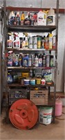 Shelf & Contents- Cleaning Products, Spray Paint