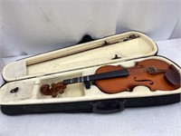 Violin