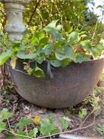 Large cast iron pot cauldron