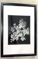 2D Black & White Flowers Wall Art 18x26”