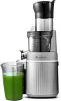 Aobosi Cold Press Juicer 200W - Gray