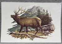 Louis Raymer Elk Print