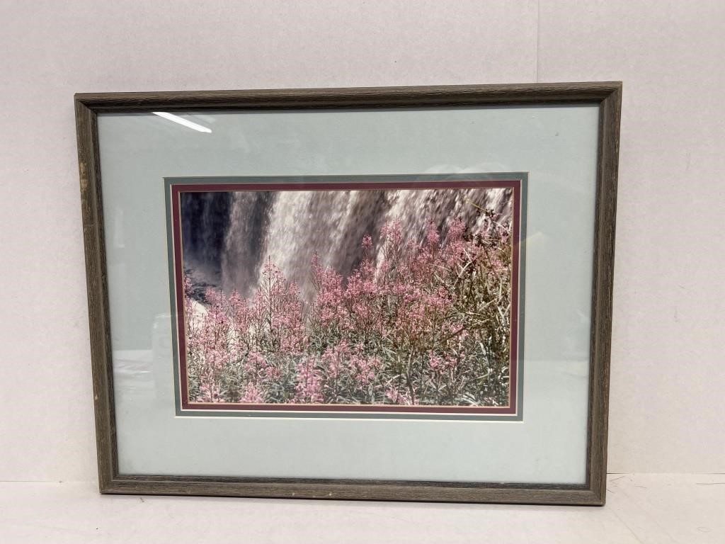 Waterfall and wildflower photograph framed 14