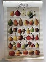 Lithographic Pear Poster