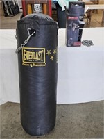 Everlast Body Punching Bag and Training Gloves