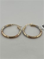 10KT Yellow Gold Woman's Earrings