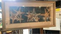 Framed Star Fish print- 13.5 x 25.5 inches