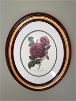 Pair of Oval Framed Botanical Rose Prints