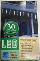 R3833  Everstar LED Icicle Lights 30 Count