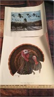 (4) Waterfowl & Turkey Prints