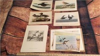 Adubon & Other Bird Prints