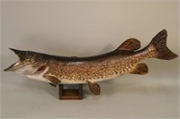 34" Northern Pike, Excellent Condition