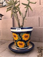 Talavera Planter / Cactus