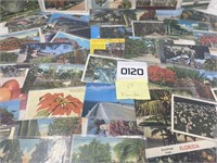 50 Florida postcards