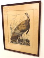 Vintage Turkey Print