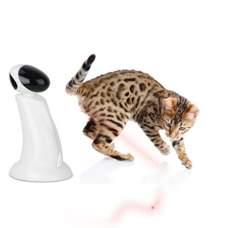 All For Paws Automatic Cat Laser Toy 360