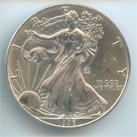 1996 U.S. Silver Eagle