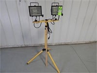 Twin power lights on adjustable stand; includes ex