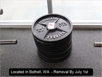 LOT, (10) 45 LB PLATE WEIGHTS