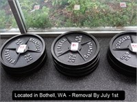 LOT, (4) 45 LB PLATE WEIGHTS