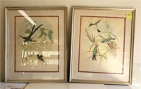 PAIR OF HUMMINGBIRD PRINTS