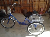 Sun adult 3 wheel bike