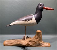 ROE TERRY OYSTER CATCHER