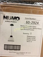 NEW Nuvo Hanging Light