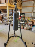 Everlast Punching Bag with Stand