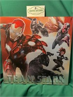 Marvel Team Stark Canvas 20x20”