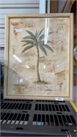 Large palm tree picture