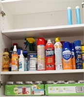 Contents of Cabinet ~ Ball Jelly Jars, Bug Spray,