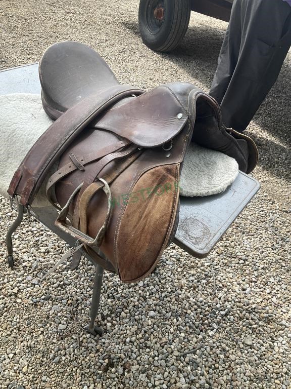 English saddle, cinch, and saddle pad