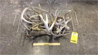 (11+-) Assorted Antler Sheds In Wire Basket