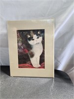 Cat Print & Mat