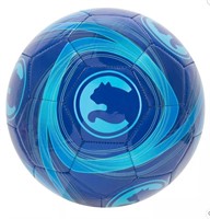 Puma Cyclone Sports Ball